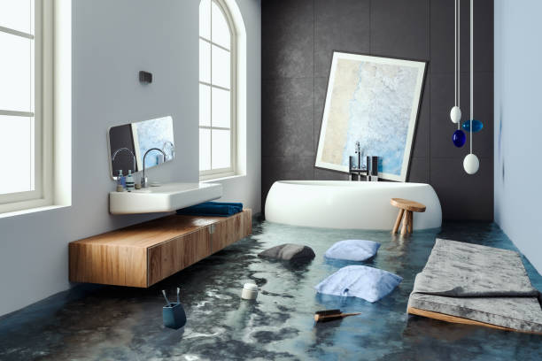 Best 24-hour water damage restoration  in Williston, FL