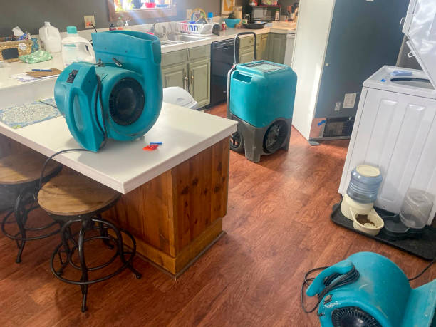 Carpet water damage restoration in Williston, FL