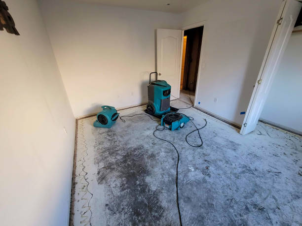 Best Water damage restoration specialists  in Williston, FL