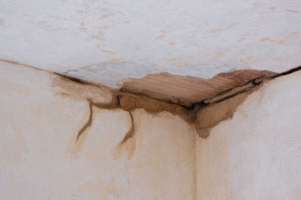 24/7 water damage repair in Williston, FL