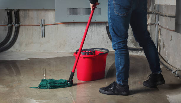 Best Local water damage restoration  in Williston, FL