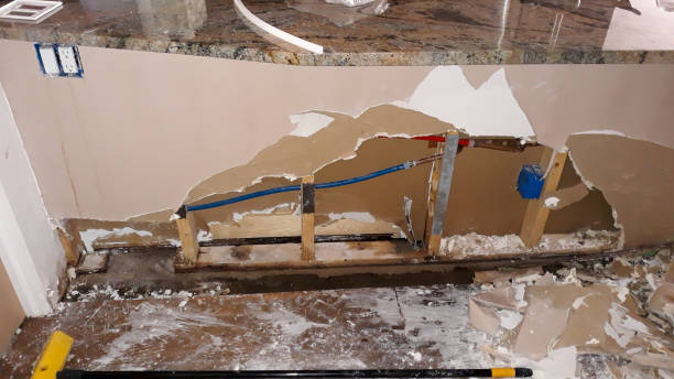 Best Water damage contractors near me  in Williston, FL