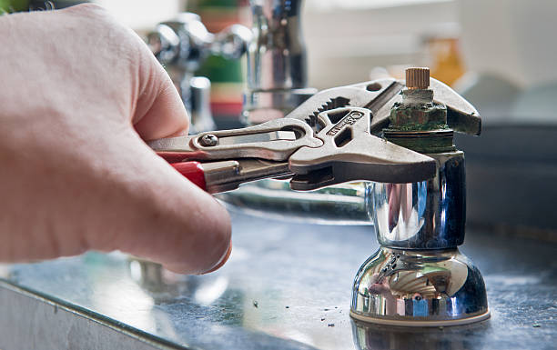Best Flood damage cleanup  in Williston, FL