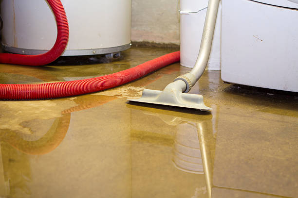 Best Water damage restoration near me  in Williston, FL