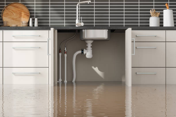 Best 24/7 water damage repair  in Williston, FL