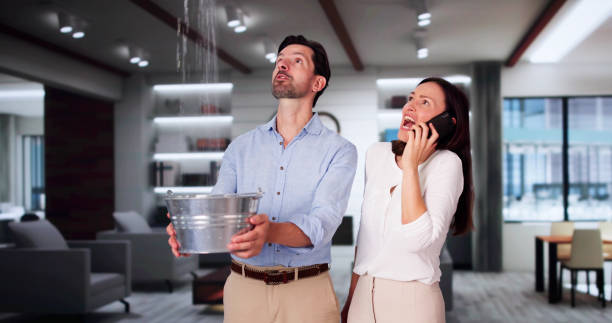 Professional Water damage restoration in Williston, FL