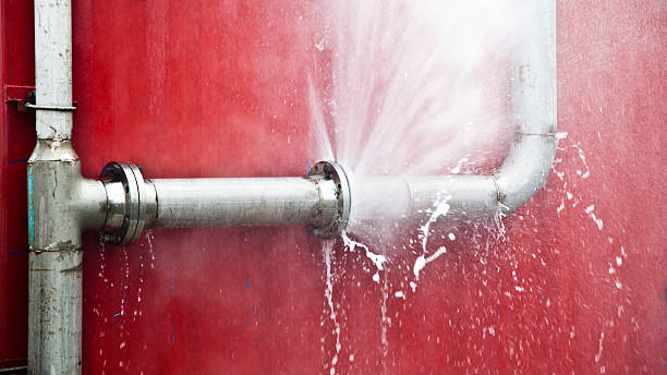 Best Flooded house restoration  in Williston, FL